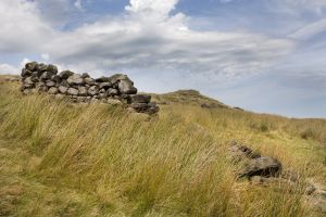 haworth moor rooute to top withens 1 sm.jpg